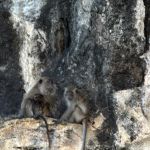 Фото отзыва Артём  №1