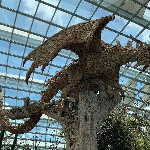 Фото отзыва Татьяна №1