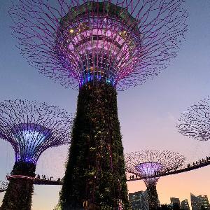 Фото отзыва Татьяна №2