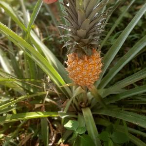 Фото отзыва Юлия №2